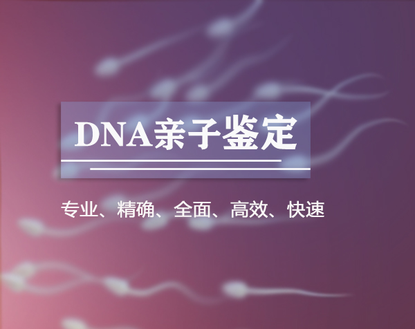 遵义亲子鉴定到哪里办理,遵义做亲子鉴定需要多少钱