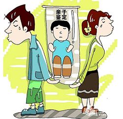 遵义可以做DNA亲子鉴定吗，遵义办理亲子鉴定流程