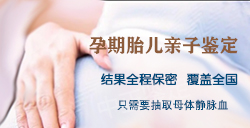 遵义刚怀孕怎么鉴定孩子生父是谁，遵义怀孕亲子鉴定大概多少钱