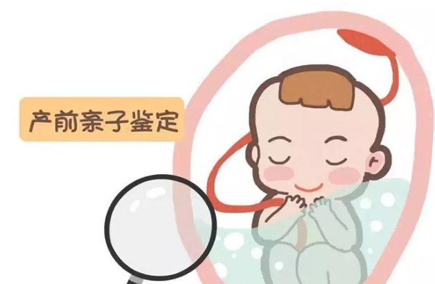 刚怀孕遵义要如何办理胎儿亲子鉴定,遵义办理产前亲子鉴定准确吗